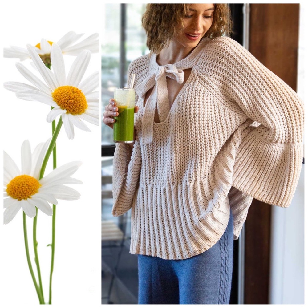 Canyon Rose Big Bell & Bow Sweater - Picture 3 of 9